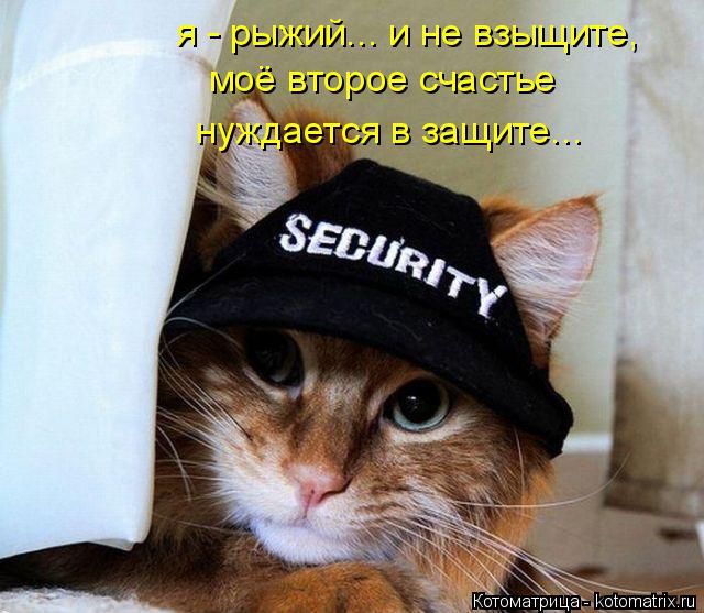 Котоматрица: я - рыжий... и не взыщите, моё второе счастье  нуждается в защите...