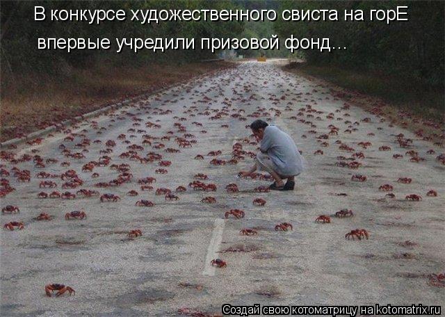 Котоматрица: В конкурсе художественного свиста на горЕ впервые учредили призовой фонд…