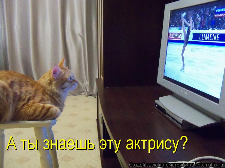 Котоматрица: А ты знаешь эту актрису?