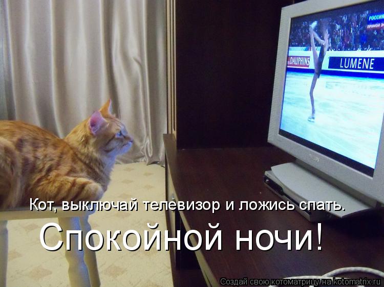 Котоматрица: Кот, выключай телевизор и ложись спать. Спокойной ночи!
