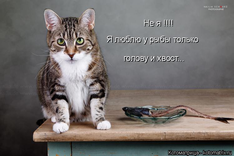 Котоматрица: Не я !!!! Я люблю у рыбы только  голову и хвост...