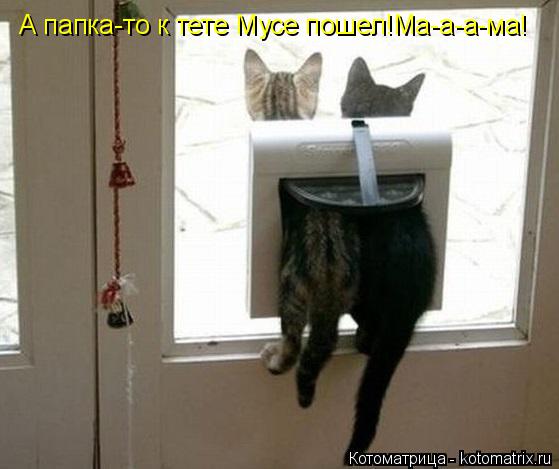 Котоматрица: А папка-то к тете Мусе пошел!Ма-а-а-ма!