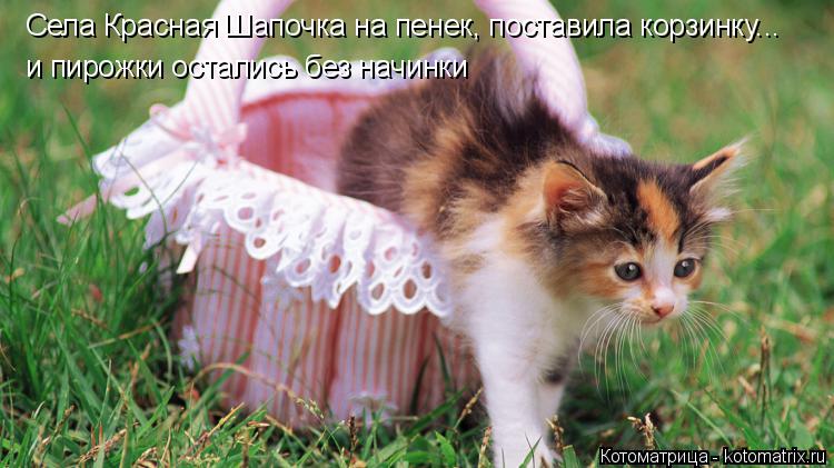 Села Красная Шапочка на пенек, поставила корзинку... и пирожки остались без начинки... Котоматрица: Села Красная Шапочка на пенек, поставила корзинку... и пирожки остались без начинки