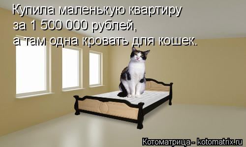Котоматрица: Купила маленькую квартиру за 1 500 000 рублей, а там одна кровать для кошек.