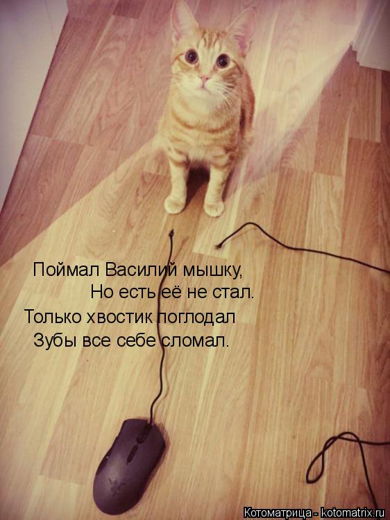 Котоматрица: Поймал Василий мышку, Но есть её не стал. Только хвостик поглодал Зубы все себе сломал.