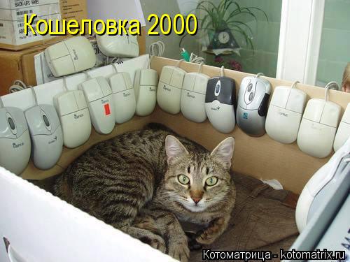 Котоматрица: Кошеловка 2000