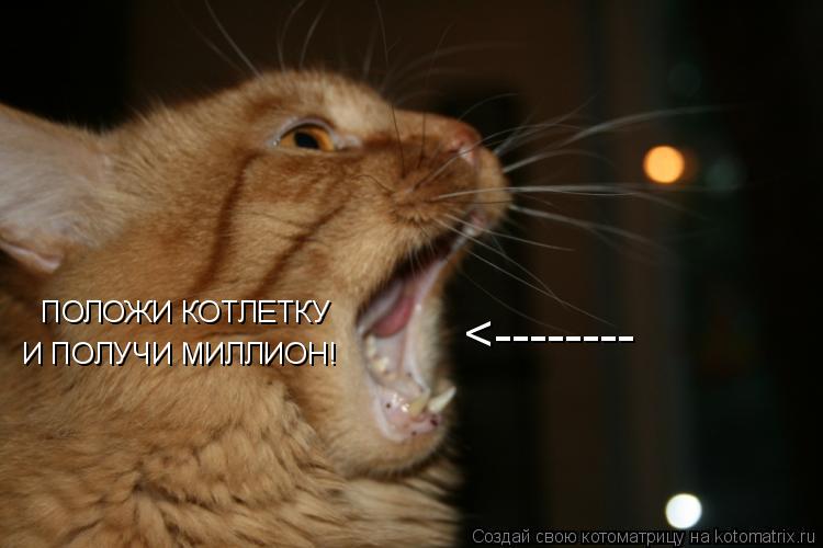 Котоматрица: ПОЛОЖИ КОТЛЕТКУ И ПОЛУЧИ МИЛЛИОН! <--------