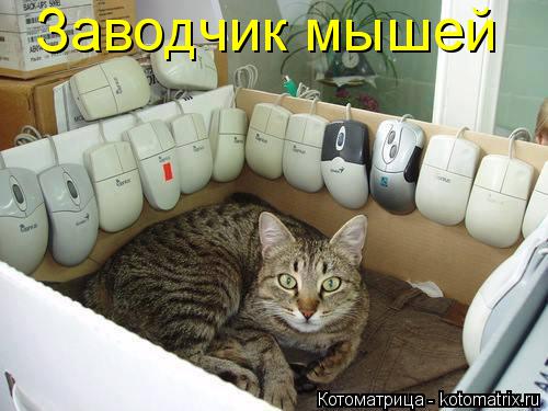 Котоматрица: Заводчик мышей