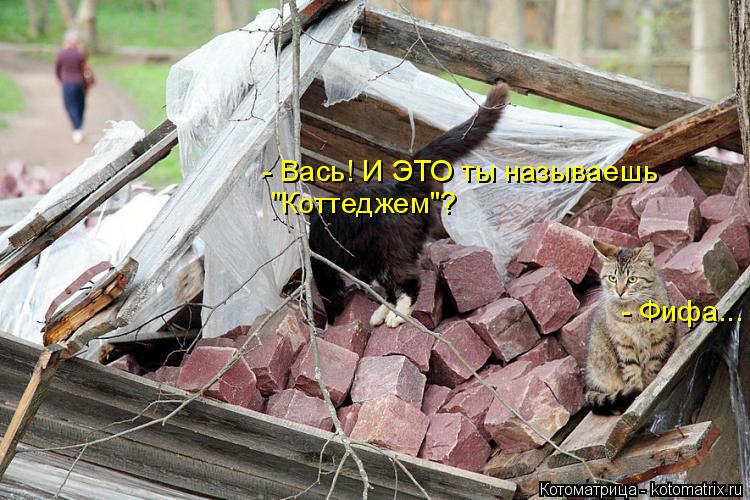Котоматрица: - Вась! И ЭТО ты называешь "Коттеджем"? - Фифа...