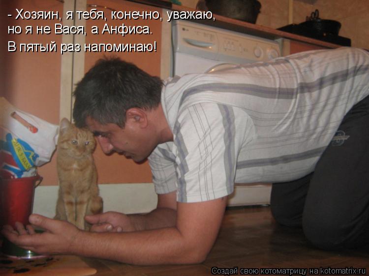 - Хозяин, я тебя, конечно, уважаю, но я не Вася, а Анфиса. В пятый раз напоминаю!... Котоматрица: - Хозяин, я тебя, конечно, уважаю, но я не Вася, а Анфиса. В пятый раз напоминаю!