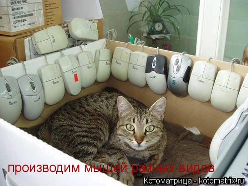 Котоматрица: производим мышей разных видов