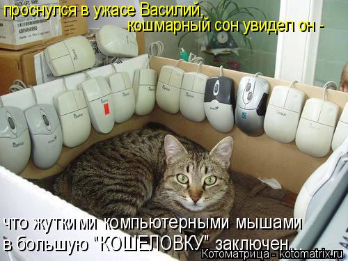 Котоматрица: проснулся в ужасе Василий, кошмарный сон увидел он - что жуткими компьютерными мышами в большую "КОШЕЛОВКУ" заключен...