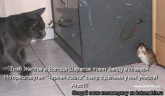 Глеб Жиглов и Володя Шарапов ловят банду и главаря. Но пресловутая "Черная кошка" сейф с делами у них... Котоматрица: Глеб Жиглов и Володя Шарапов ловят банду и главаря. Но пресловутая "Черная кошка" сейф с делами у них унесла! Атас!!!