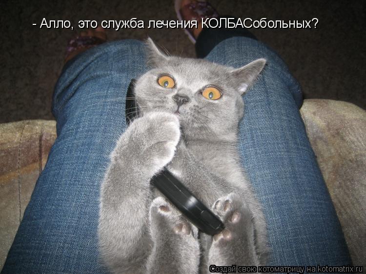 - Алло, это служба лечения КОЛБАСобольных?... Котоматрица: - Алло, это служба лечения КОЛБАСобольных?