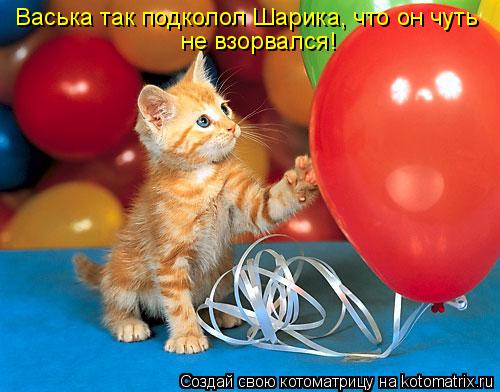 Васька так подколол Шарика, что он чуть не взорвался!... Котоматрица: Васька так подколол Шарика, что он чуть не взорвался!