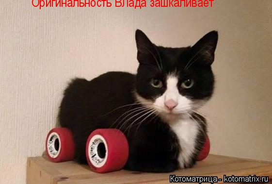 Оригинальность ВЛада зашкаливает... Котоматрица: Оригинальность ВЛада зашкаливает