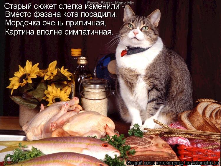 Старый сюжет слегка изменили - Вместо фазана кота посадили. Мордочка очень приличная, Картина вполне ... Котоматрица: Старый сюжет слегка изменили - Вместо фазана кота посадили. Мордочка очень приличная, Картина вполне симпатичная.