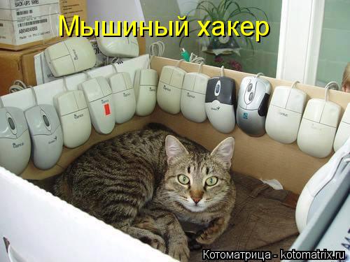Котоматрица: Мышиный хакер