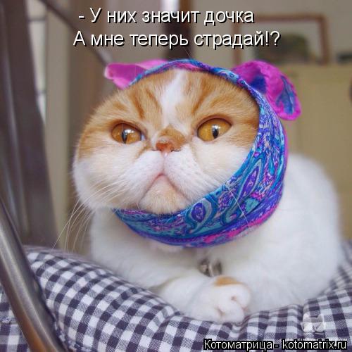 - У них значит дочка А мне теперь страдай!?... Котоматрица: - У них значит дочка А мне теперь страдай!?