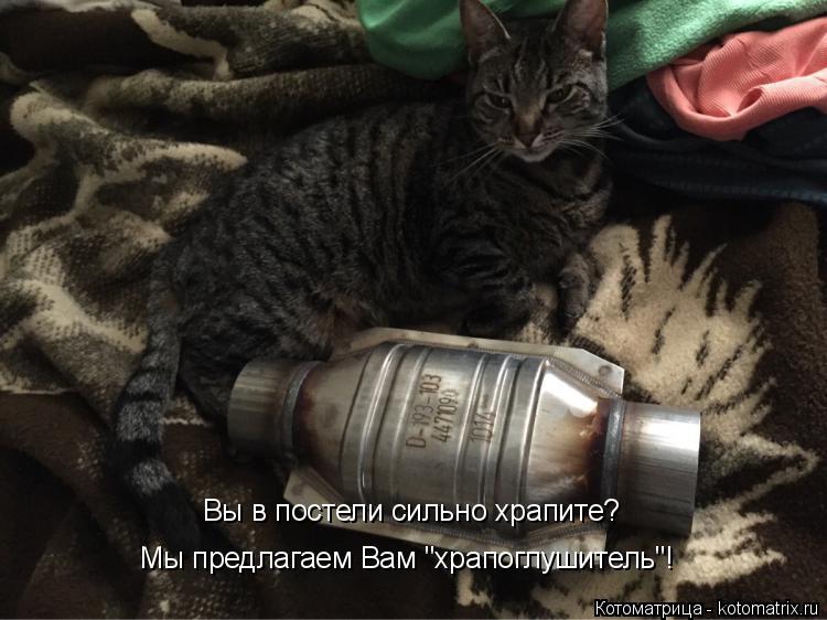 Вы в постели сильно храпите? Мы предлагаем Вам "храпоглушитель"!... Котоматрица: Вы в постели сильно храпите? Мы предлагаем Вам "храпоглушитель"!