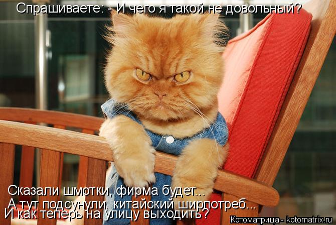 Спрашиваете: - И чего я такой не довольный? Сказали шмотки, фирма будет... А тут подсунули, китайский... Котоматрица: Спрашиваете: - И чего я такой не довольный? Сказали шмотки, фирма будет... А тут подсунули, китайский ширпотреб... И как теперь на улицу выходит