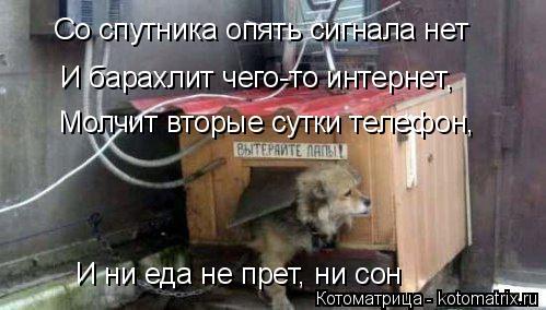 Со спутника опять сигнала нет И барахлит чего-то интернет, Молчит вторые сутки телефон, И ни еда не п... Котоматрица: Со спутника опять сигнала нет И барахлит чего-то интернет, Молчит вторые сутки телефон, И ни еда не прет, ни сон
