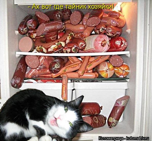 - Ах вот где тайник хозяйки!... Котоматрица: - Ах вот где тайник хозяйки!
