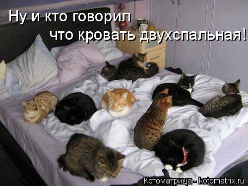 Ну и кто говорил что кровать двухспальная!... Котоматрица: Ну и кто говорил что кровать двухспальная!