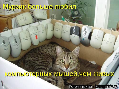 Мурзик больше любил компьютерных мышей,чем живых... Котоматрица: Мурзик больше любил компьютерных мышей,чем живых