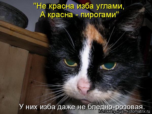 "Не красна изба углами, А красна - пирогами" У них изба даже не бледно-розовая.... Котоматрица: "Не красна изба углами, А красна - пирогами" У них изба даже не бледно-розовая.
