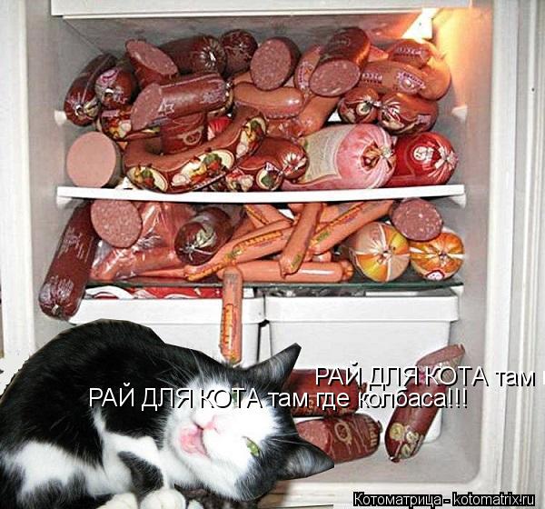 РАЙ ДЛЯ КОТА там где колбаса!!! РАЙ ДЛЯ КОТА там где колбаса!!! РАЙ ДЛЯ КОТА там где колбаса!!!... Котоматрица: РАЙ ДЛЯ КОТА там где колбаса!!! РАЙ ДЛЯ КОТА там где колбаса!!! РАЙ ДЛЯ КОТА там где колбаса!!!
