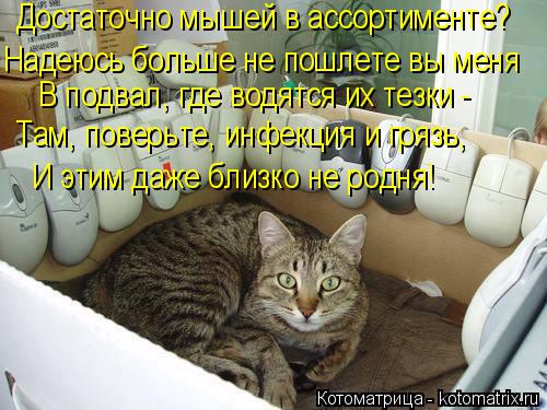 Достаточно мышей в ассортименте? Надеюсь больше не пошлете вы меня В подвал, где водятся их тезки - ... Котоматрица: Достаточно мышей в ассортименте? Надеюсь больше не пошлете вы меня В подвал, где водятся их тезки - Там, поверьте, инфекция и грязь, И этим да