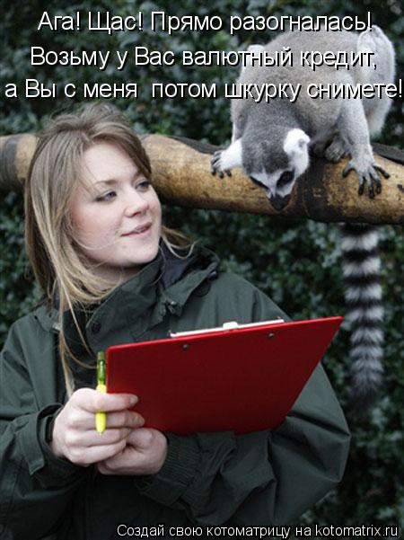 Ага! Щас! Прямо разогналась! Возьму у Вас валютный кредит, а Вы с меня потом шкурку снимете!... Котоматрица: Ага! Щас! Прямо разогналась! Возьму у Вас валютный кредит, а Вы с меня потом шкурку снимете!