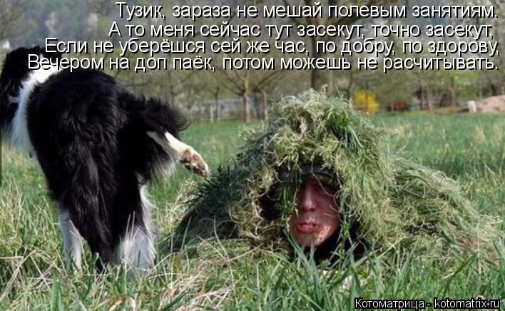 Тузик, зараза не мешай полевым занятиям. А то меня сейчас тут засекут, точно засекут, Если не уберёшс... Котоматрица: Тузик, зараза не мешай полевым занятиям. А то меня сейчас тут засекут, точно засекут, Если не уберёшся сей же час, по добру, по здорову, Вечеро