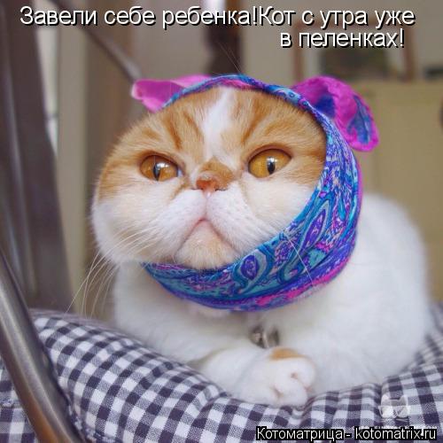 Завели себе ребенка!Кот с утра уже в пеленках!... Котоматрица: Завели себе ребенка!Кот с утра уже в пеленках!