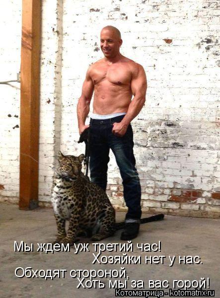 Мы ждем уж третий час! Хоть мы за вас горой! Хозяйки нет у нас. Обходят стороной,... Котоматрица: Мы ждем уж третий час! Хоть мы за вас горой! Хозяйки нет у нас. Обходят стороной,