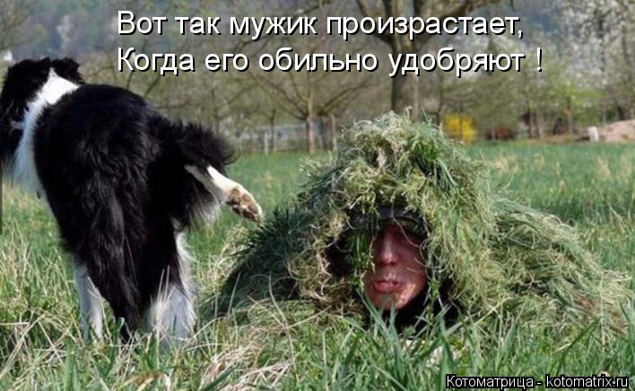 Вот так мужик произрастает, Когда его обильно удобряют !... Котоматрица: Вот так мужик произрастает, Когда его обильно удобряют !