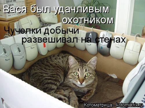 Вася был удачливым охотником Чучелки добычи развешивал на стенах... Котоматрица: Вася был удачливым охотником Чучелки добычи развешивал на стенах