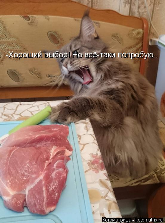 -Хороший выбор! Но всё-таки попробую..... Котоматрица: -Хороший выбор! Но всё-таки попробую..
