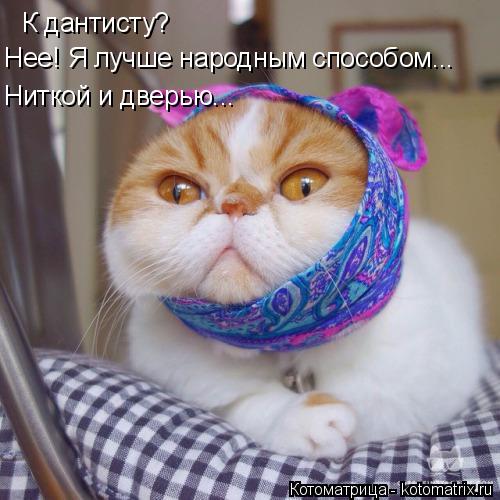 Котоматрица: К дантисту?  Нее! Я лучше народным способом... Ниткой и дверью...