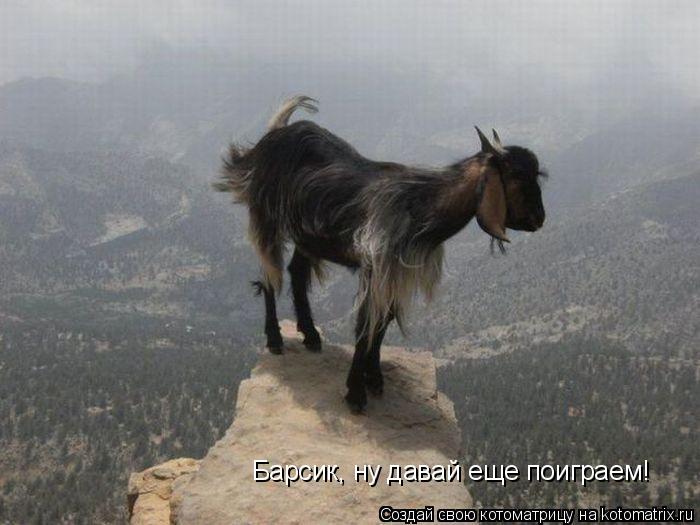 Барсик, ну давай еще поиграем!... Котоматрица: Барсик, ну давай еще поиграем!