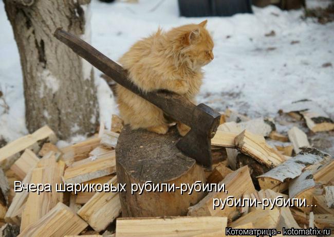 Вчера шариковых рубили-рубили, рубили-рубили...... Котоматрица: Вчера шариковых рубили-рубили, рубили-рубили...