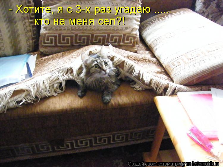 - Хотите, я с 3-х раз угадаю ..... кто на меня сел?!... Котоматрица: - Хотите, я с 3-х раз угадаю ..... кто на меня сел?!