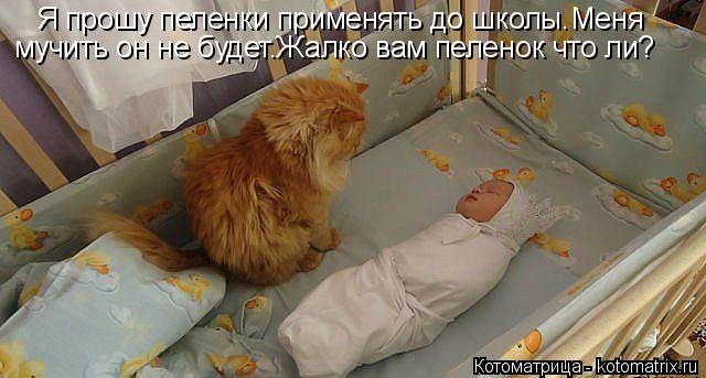 Я прошу пеленки применять до школы.Меня мучить он не будет.Жалко вам пеленок что ли?... Котоматрица: Я прошу пеленки применять до школы.Меня мучить он не будет.Жалко вам пеленок что ли?