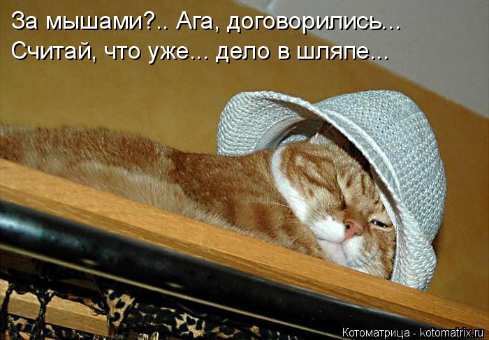 За мышами?.. Ага, договорились... Считай, что уже... дело в шляпе...... Котоматрица: За мышами?.. Ага, договорились... Считай, что уже... дело в шляпе...
