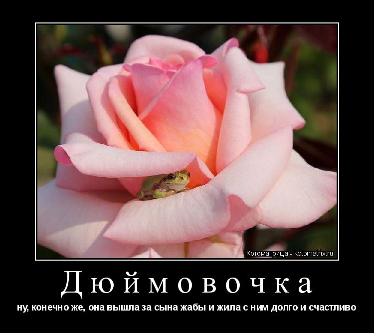 Дюймовочка ну, конечно же, она вышла за сына жабы и жила с ним долго и счастливо... Котоматрица: Дюймовочка ну, конечно же, она вышла за сына жабы и жила с ним долго и счастливо