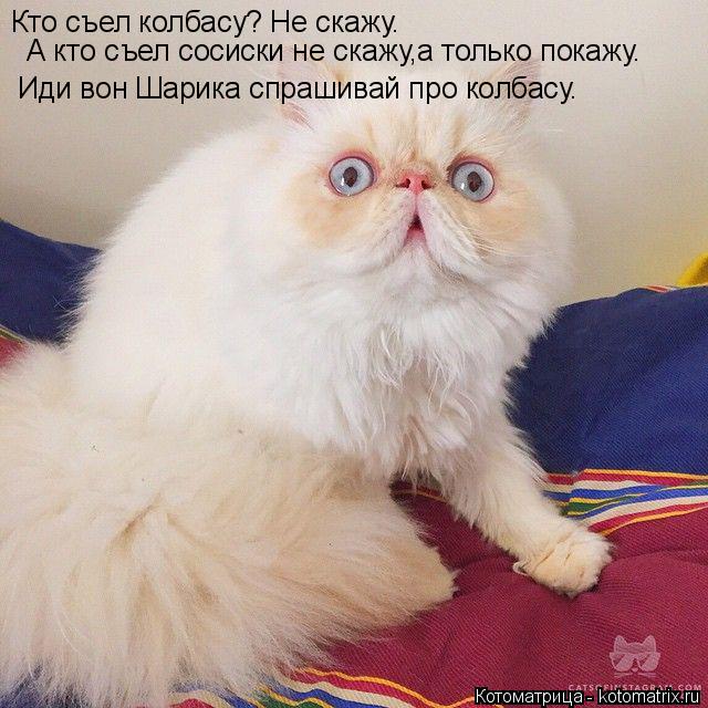 Кто съел колбасу? Не скажу. А кто съел сосиски не скажу,а только покажу. Иди вон Шарика спрашивай про... Котоматрица: Кто съел колбасу? Не скажу. А кто съел сосиски не скажу,а только покажу. Иди вон Шарика спрашивай про колбасу.