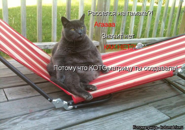 Расселся на гамаке?! Агаааа Значит нет КАК НЕТ?! Потому что КОТОматрицу ты создавала!... Котоматрица: Расселся на гамаке?! Агаааа Значит нет КАК НЕТ?! Потому что КОТОматрицу ты создавала!