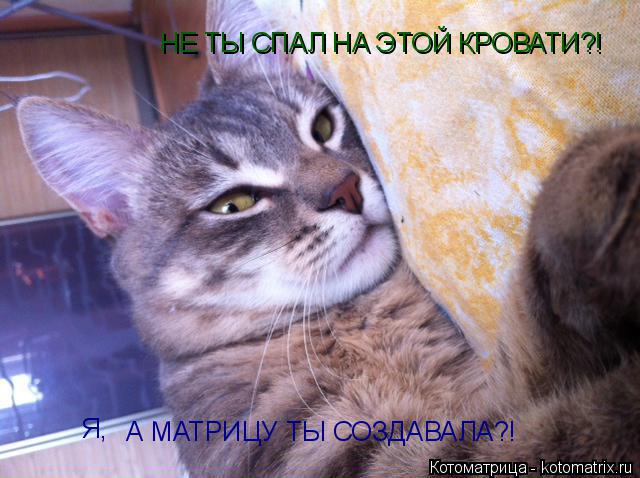 НЕ ТЫ СПАЛ НА ЭТОЙ КРОВАТИ?! А МАТРИЦУ ТЫ СОЗДАВАЛА?! Я,... Котоматрица: НЕ ТЫ СПАЛ НА ЭТОЙ КРОВАТИ?! А МАТРИЦУ ТЫ СОЗДАВАЛА?! Я,