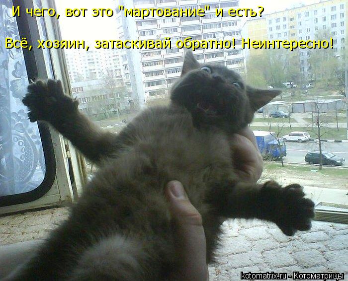 И чего, вот это "мартование" и есть? Всё, хозяин, затаскивай обратно! Неинтересно!... Котоматрица: И чего, вот это "мартование" и есть? Всё, хозяин, затаскивай обратно! Неинтересно!